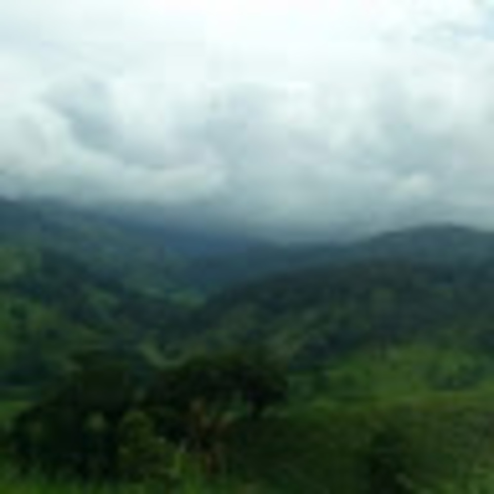 Meet your Posher, Eileen